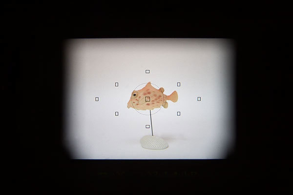 Image of using the Pick-up Finder