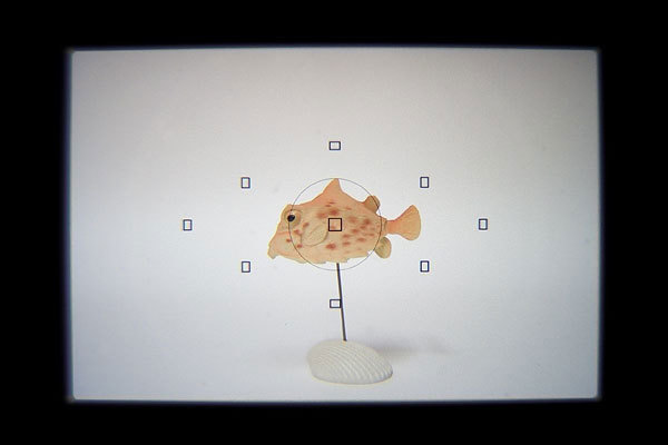 Image of using a straight (45°) viewfinder