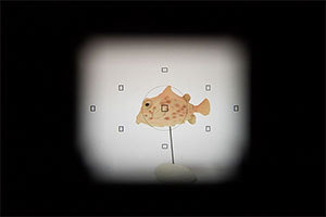 Image of using the finder window