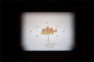 Image of using the Pick-up Finder