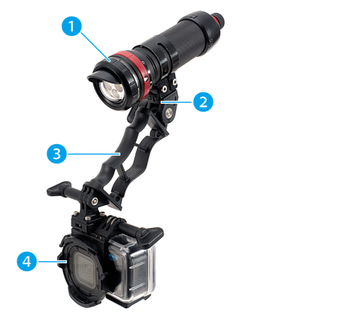 セットアップ例